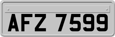 AFZ7599