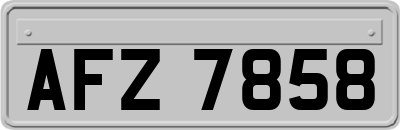 AFZ7858