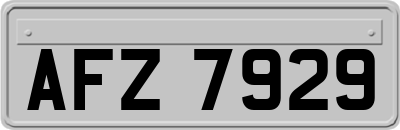 AFZ7929
