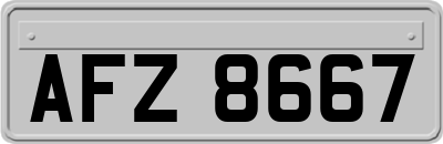 AFZ8667