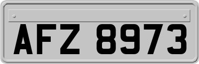 AFZ8973