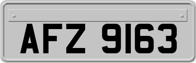 AFZ9163