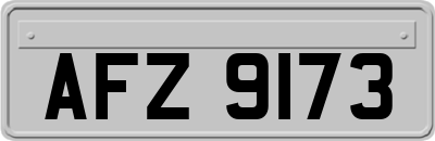 AFZ9173