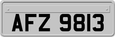 AFZ9813