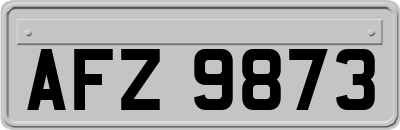 AFZ9873