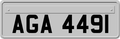 AGA4491