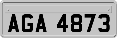 AGA4873