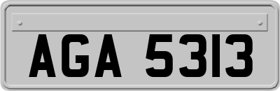 AGA5313