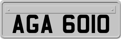 AGA6010
