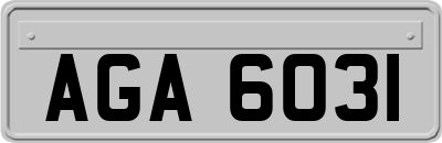 AGA6031