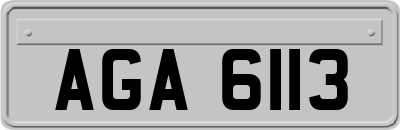 AGA6113