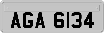 AGA6134