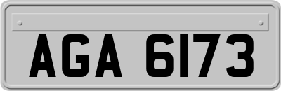 AGA6173