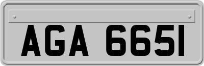 AGA6651