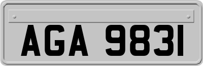 AGA9831