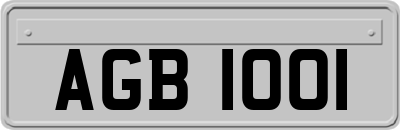 AGB1001