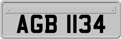 AGB1134