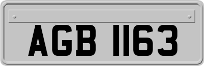 AGB1163