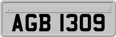 AGB1309