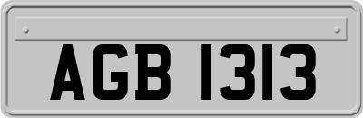 AGB1313