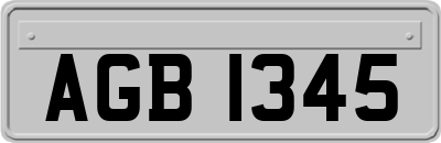 AGB1345