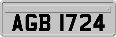 AGB1724