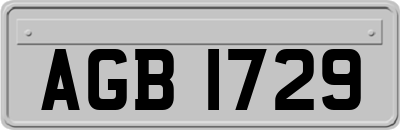 AGB1729