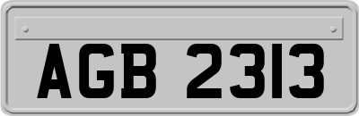 AGB2313
