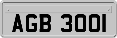AGB3001