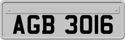 AGB3016