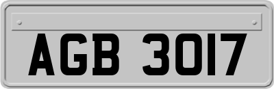 AGB3017