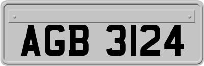 AGB3124