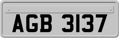 AGB3137