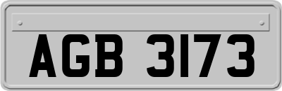 AGB3173