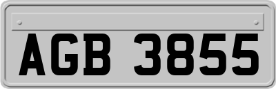 AGB3855