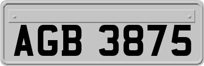 AGB3875
