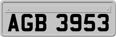 AGB3953