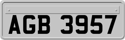 AGB3957