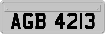 AGB4213