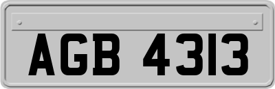 AGB4313