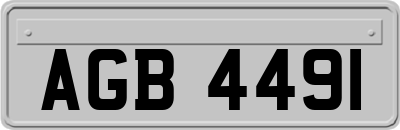 AGB4491