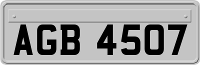 AGB4507