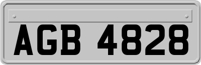 AGB4828