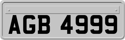 AGB4999