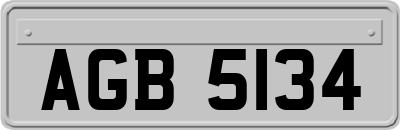 AGB5134