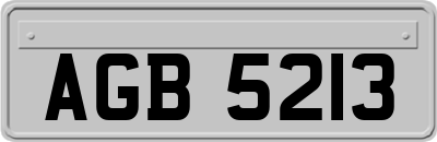 AGB5213