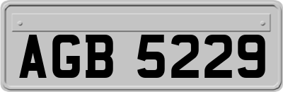 AGB5229
