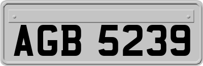 AGB5239