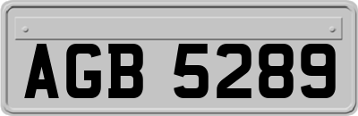 AGB5289