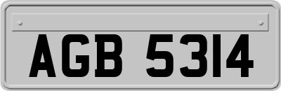 AGB5314